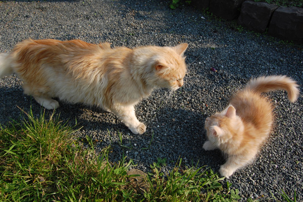 wer bist du denn.jpg